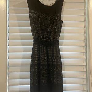 Max Studio Cocktail Dress